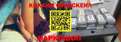 крисы Моздок