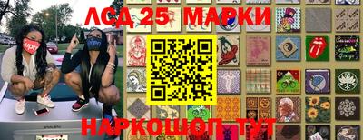 крисы Моздок