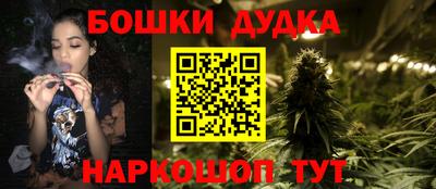 крисы Моздок