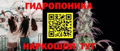 скорость Можга