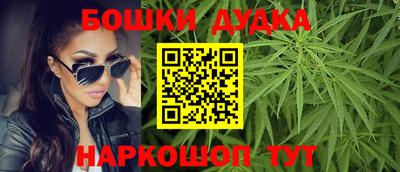 крисы Моздок