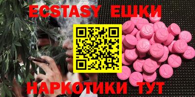 крисы Моздок