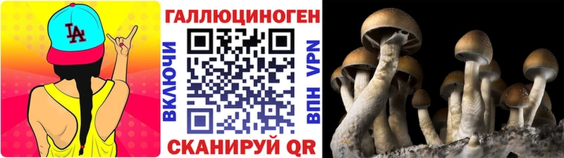 Псилоцибиновые грибы мицелий  MEGA как войти  Чернушка  наркотики 