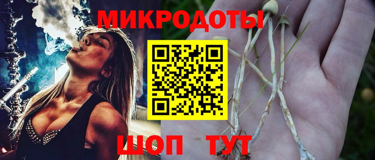 даркнет сайт  Галлюциногенные грибы Magic Shrooms  Вход с VPN  Чернушка 