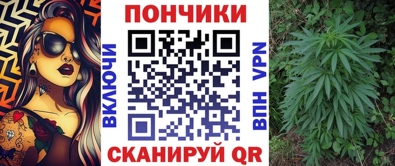 где найти Чернушка Канабис план